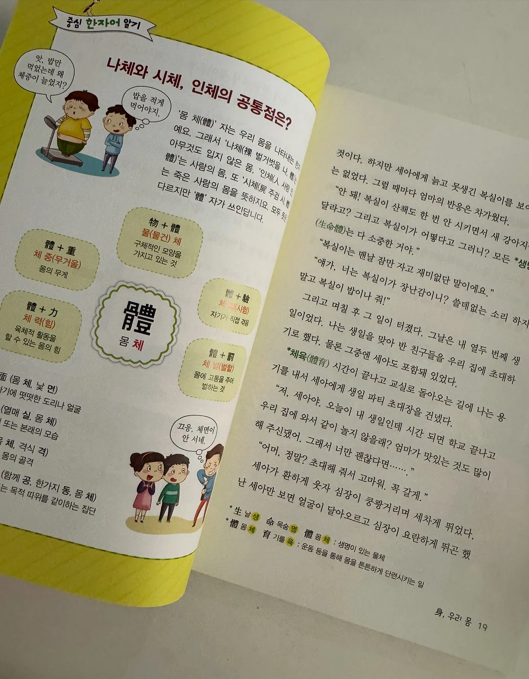 스프링 케이스 9