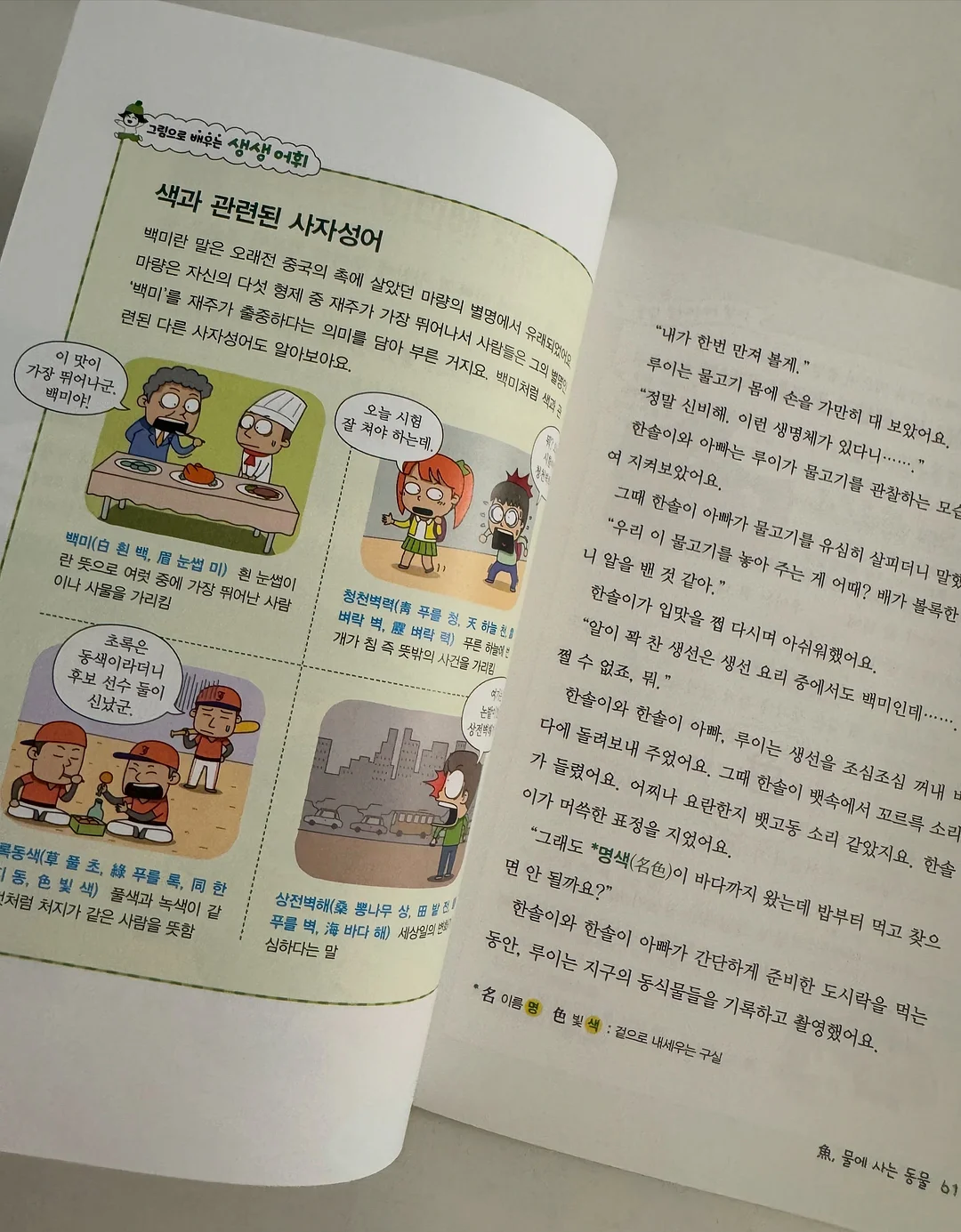 스프링 케이스 10