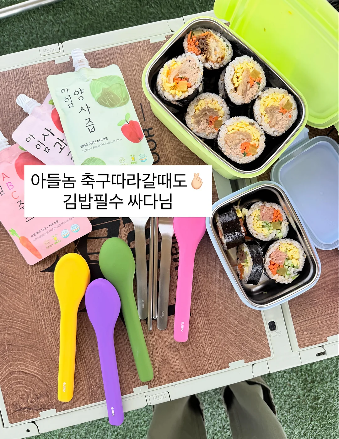 카네이션 화분 11