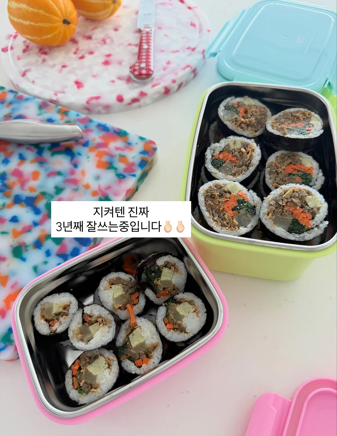 카네이션 화분 14