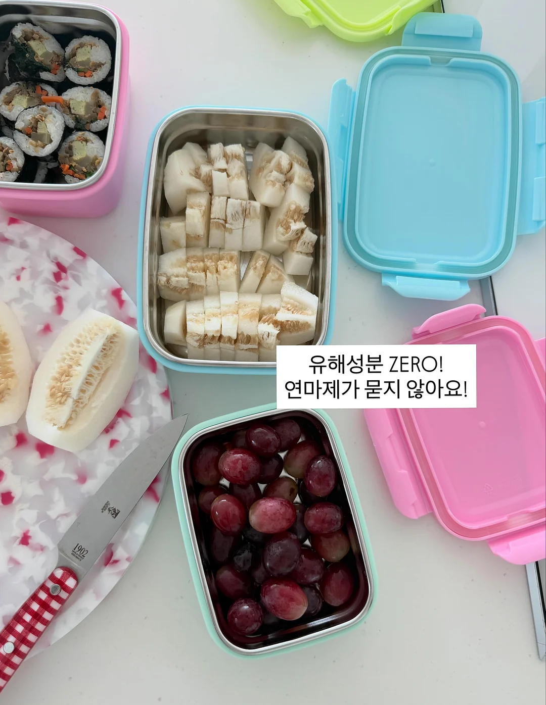 카네이션 화분 15