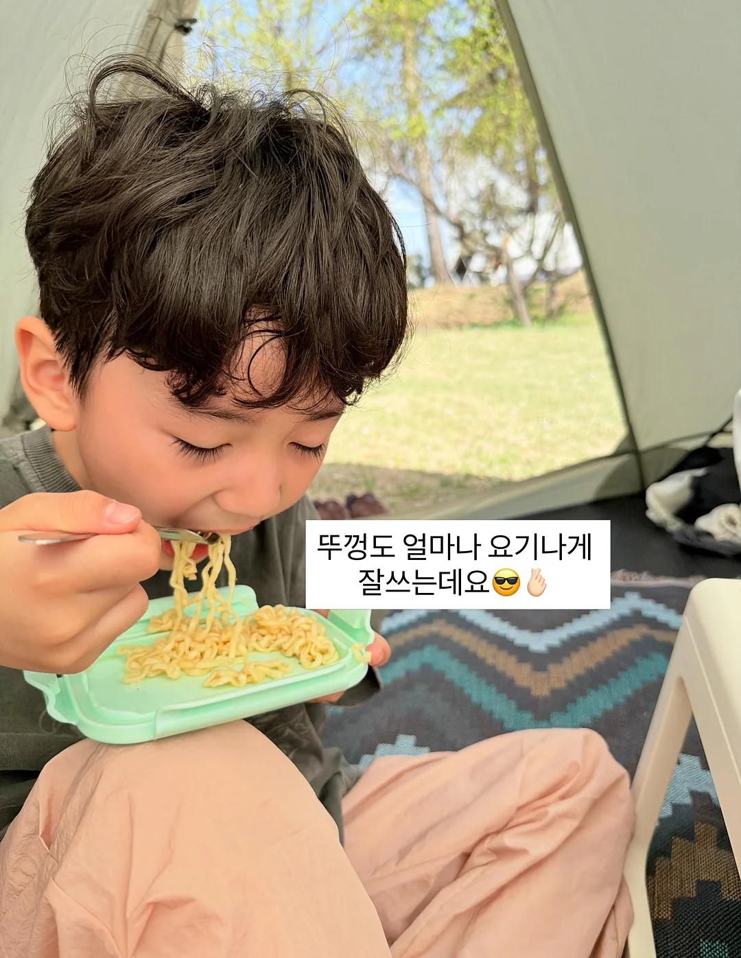 카네이션 화분 17
