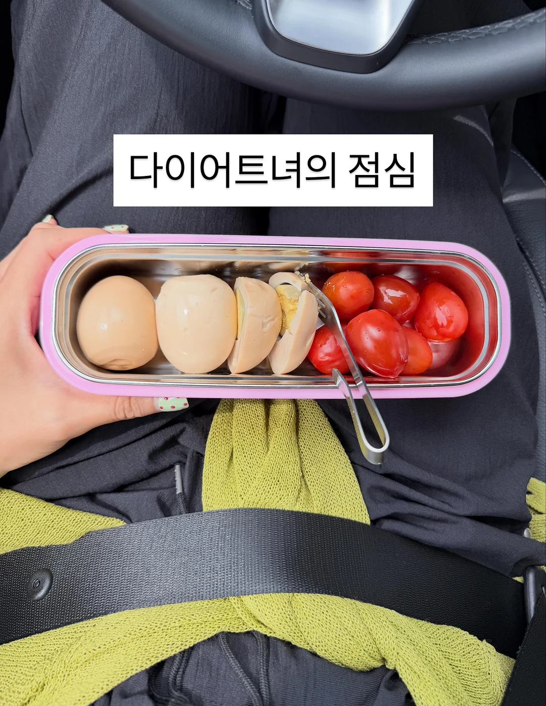 카네이션 화분 18