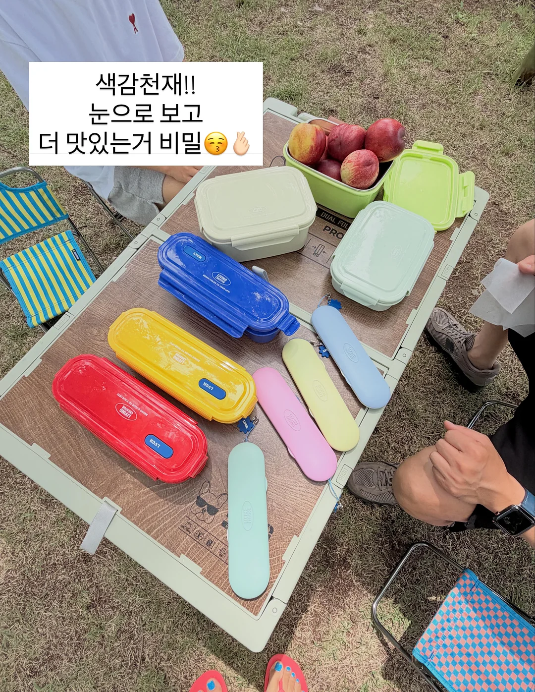 카네이션 화분 19