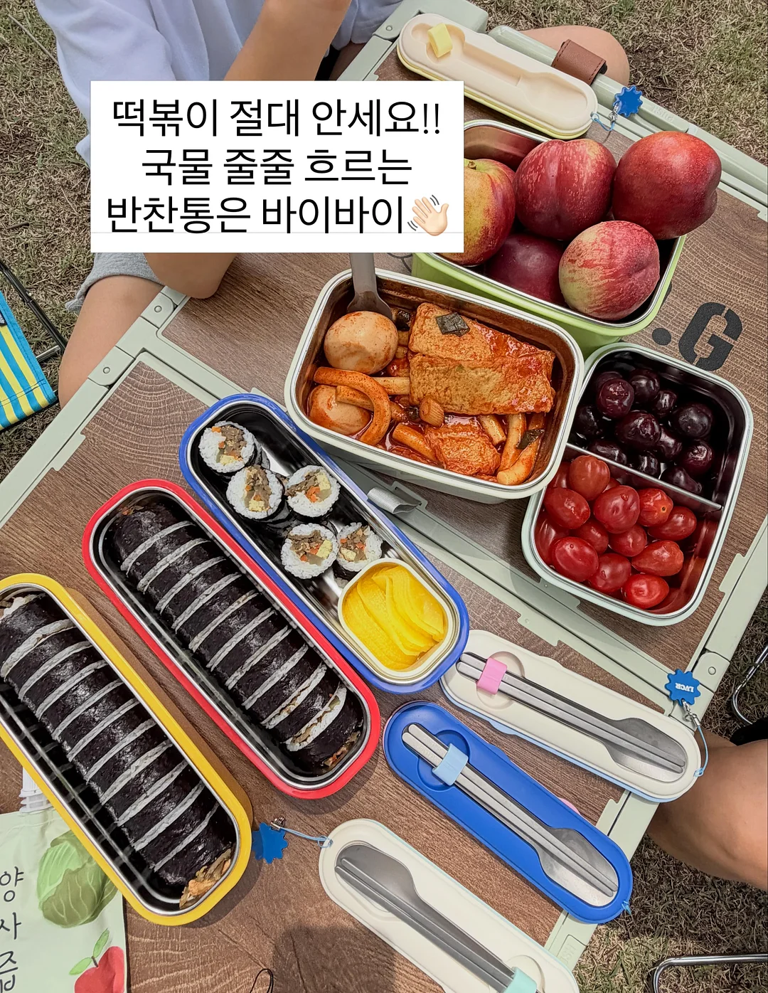 카네이션 화분 20