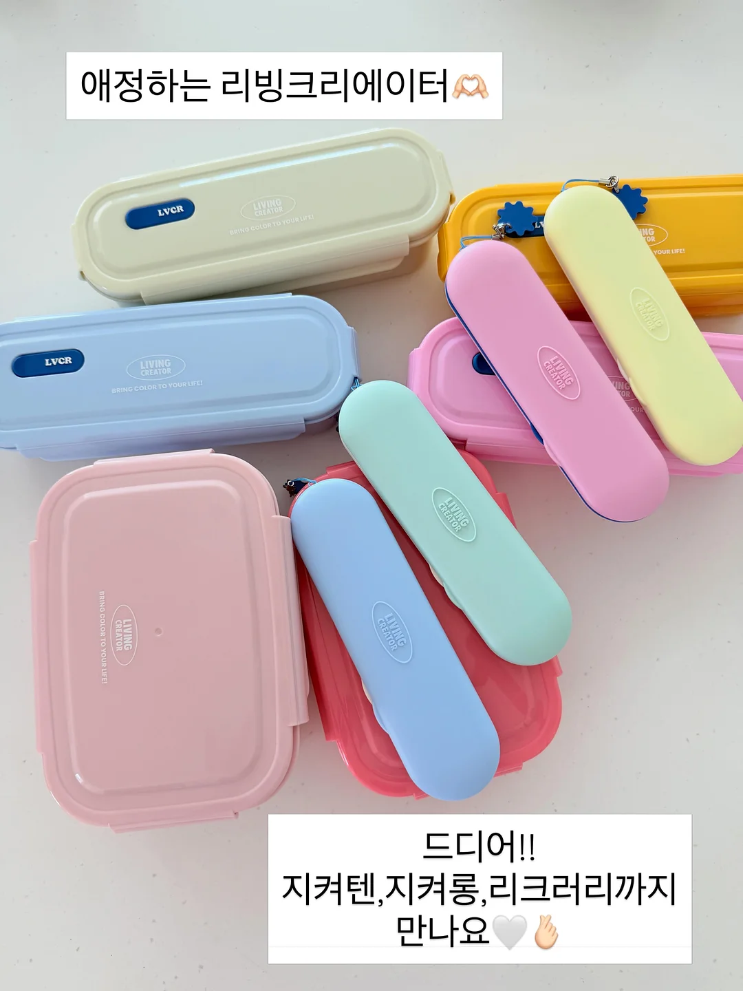 카네이션 화분 4