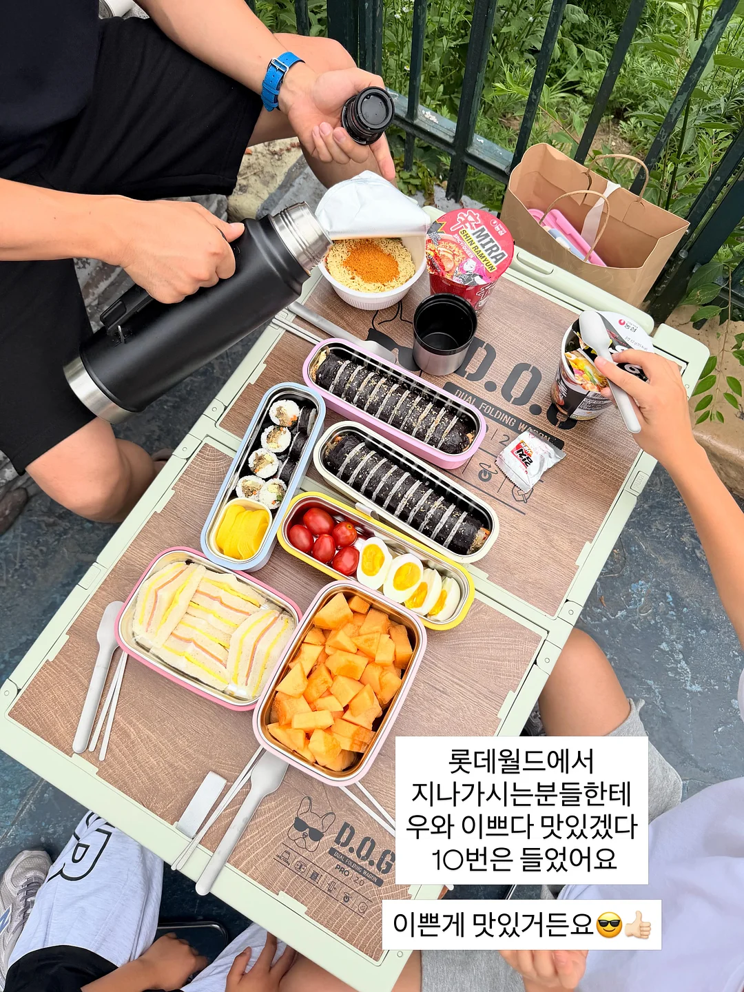 카네이션 화분 5
