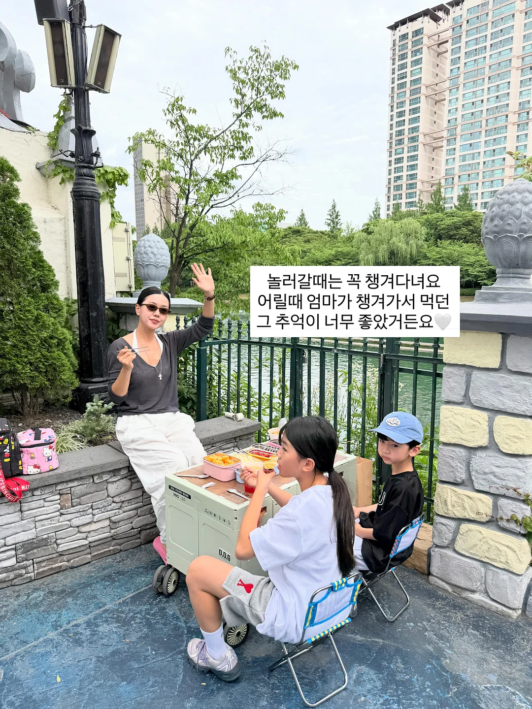 카네이션 화분 8