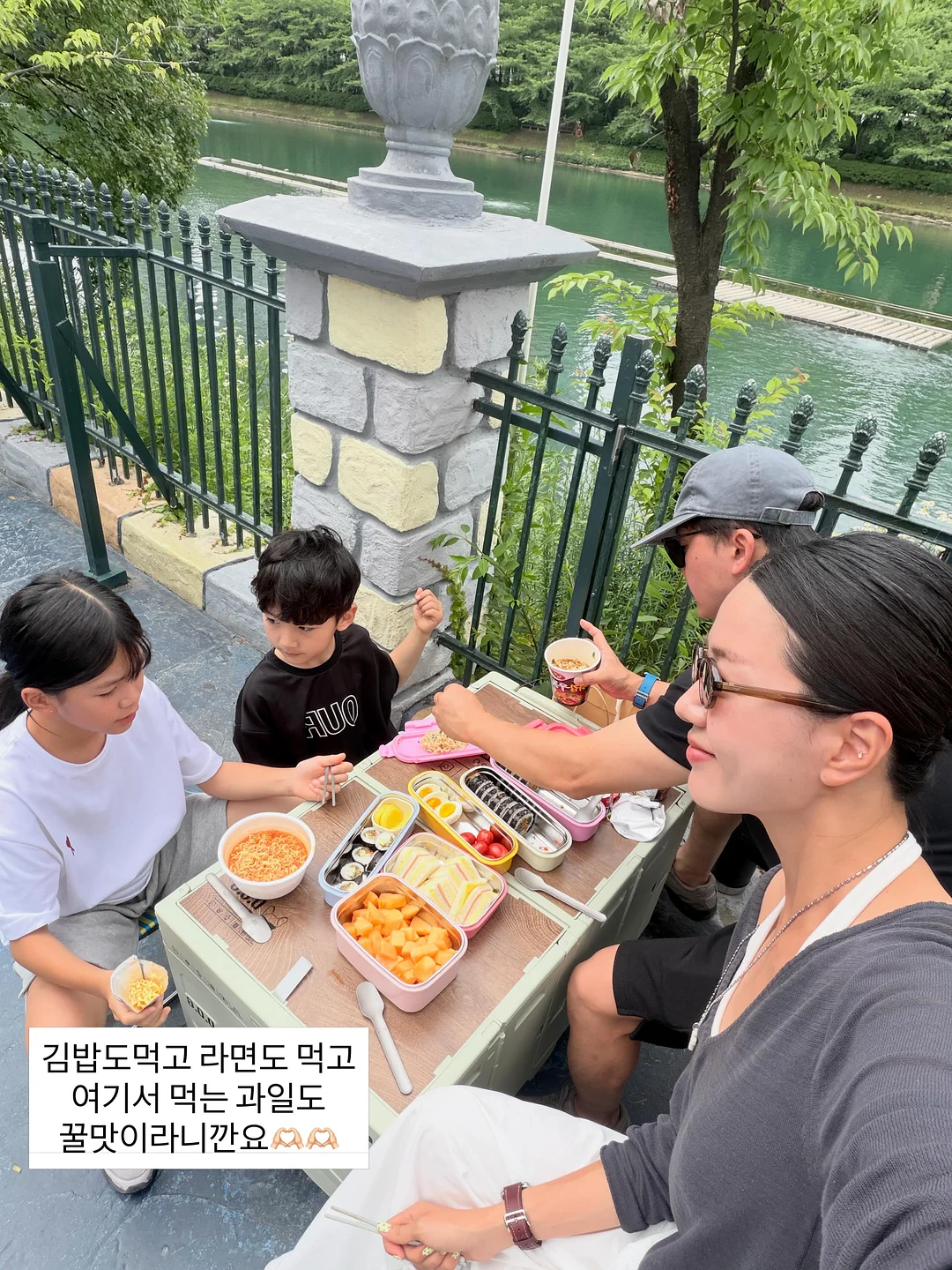 카네이션 화분 10