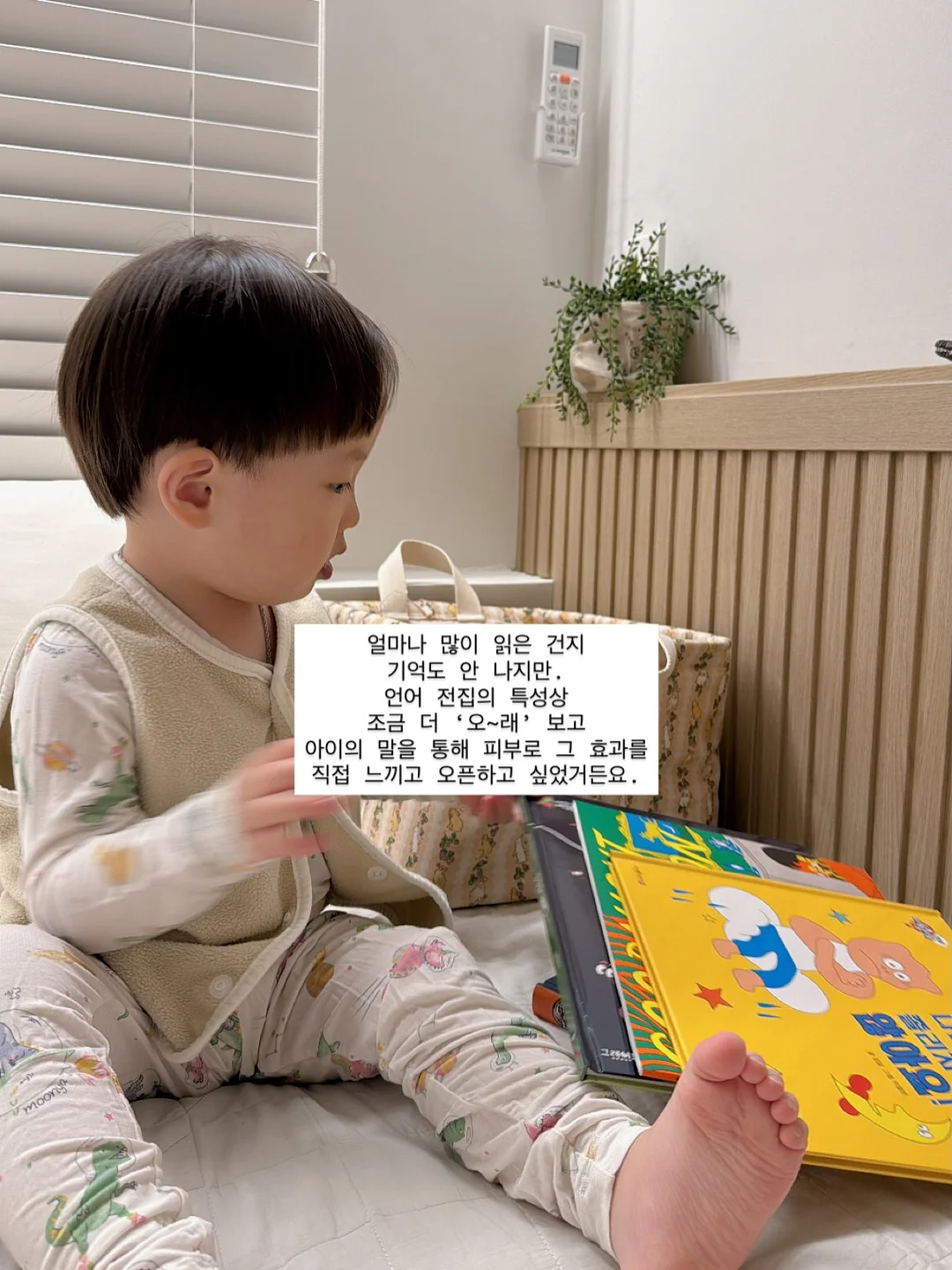 드무어 기물 2