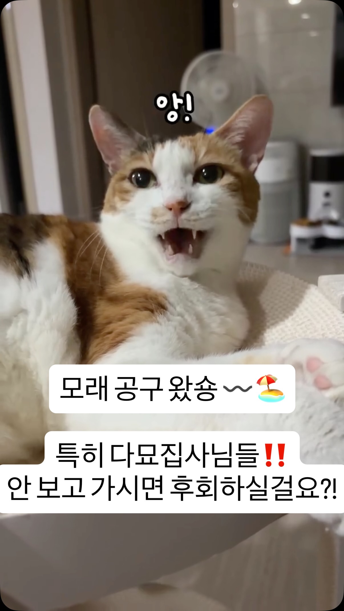 신상 미리보기
