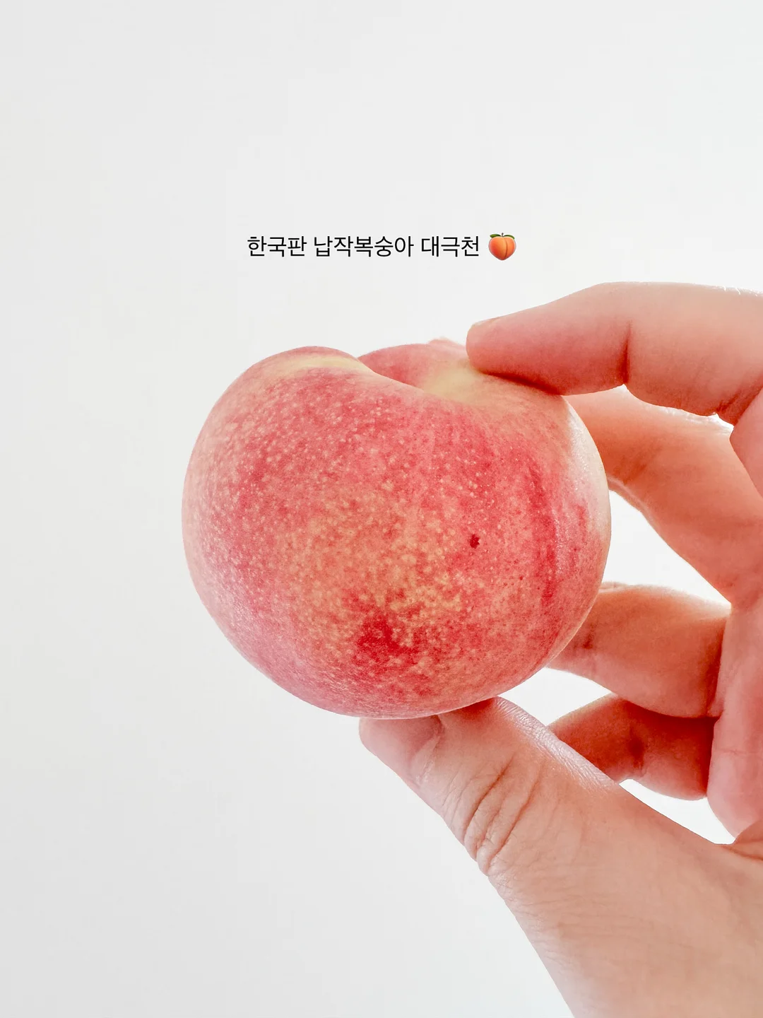 스플릿 스쿼트 체크포인트 자료 1