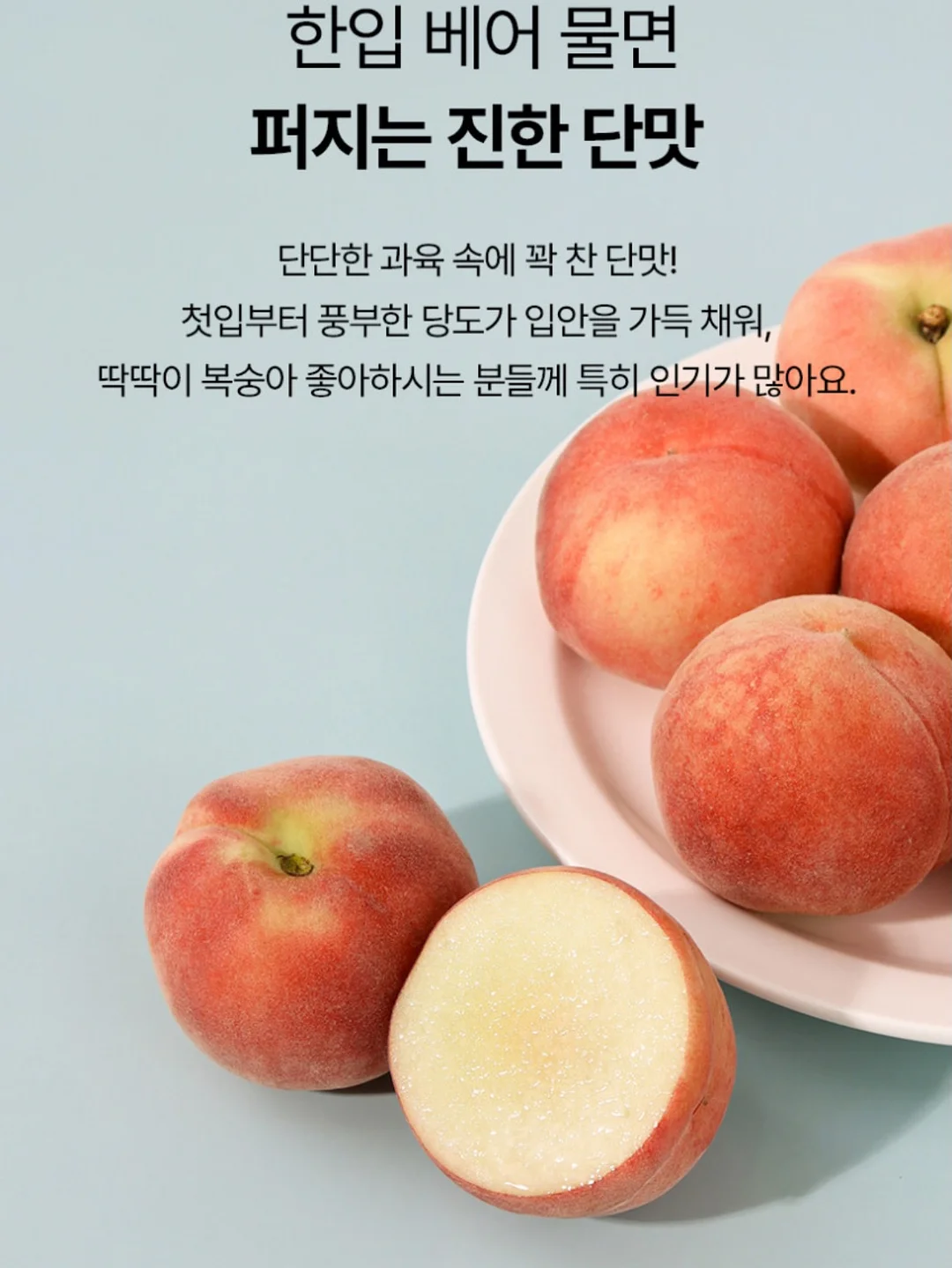 스플릿 스쿼트 체크포인트 자료 6