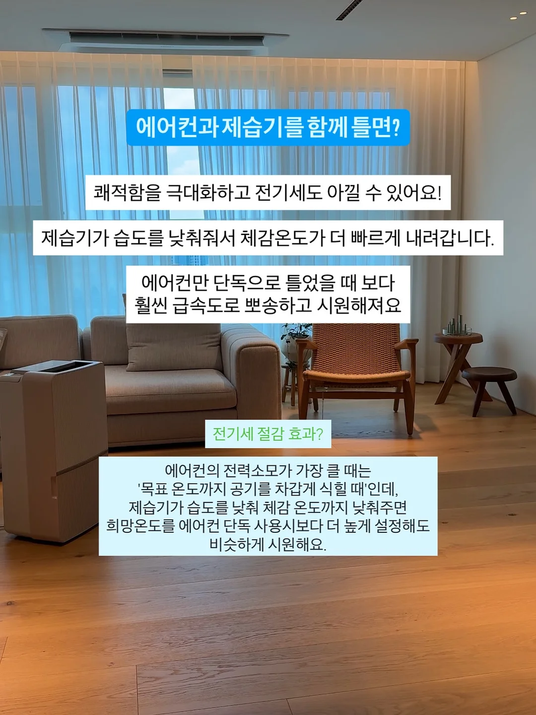 퍼마색소 5