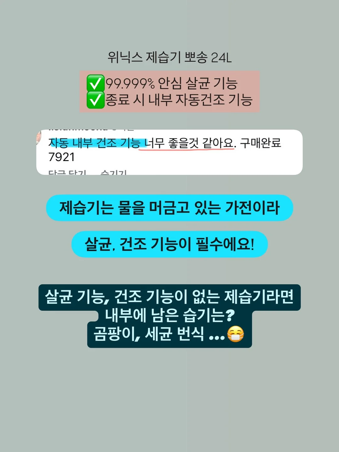 퍼마색소 10