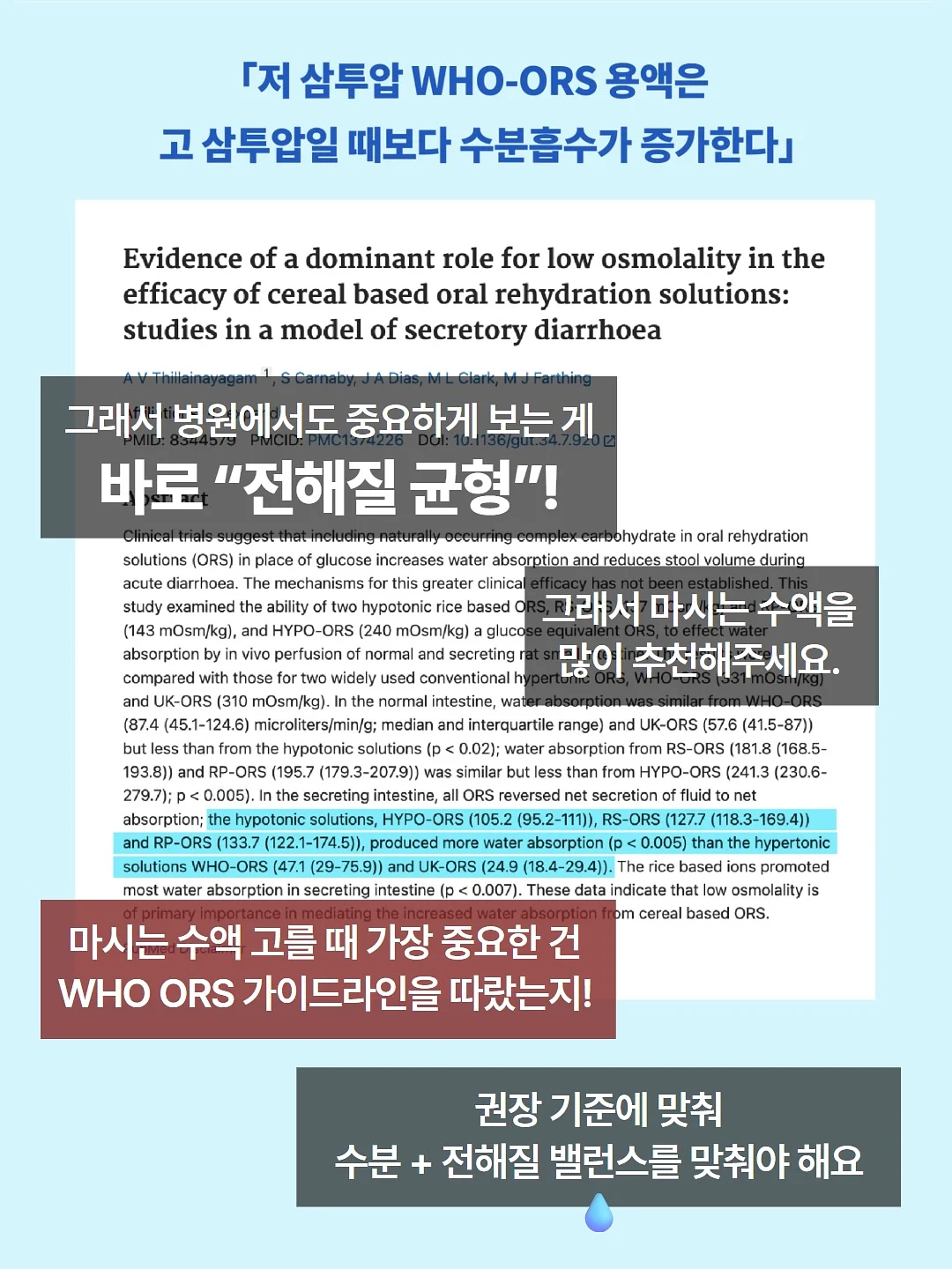 포인트단가라티 / 밴딩자수플레어스커트 3
