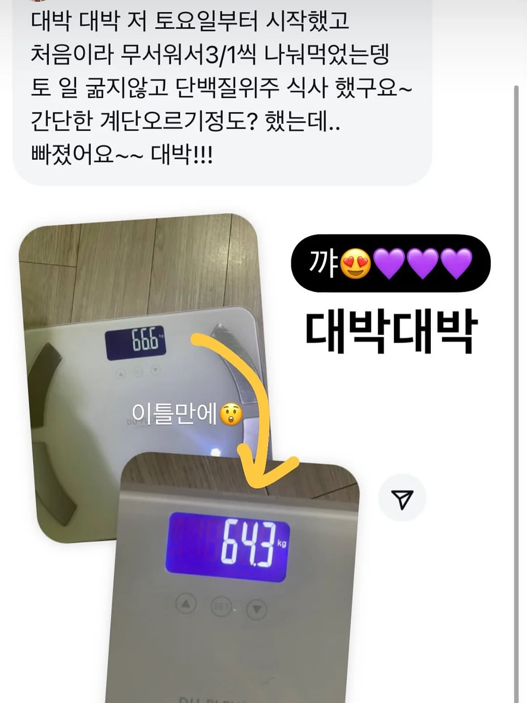 레이스 커튼 14
