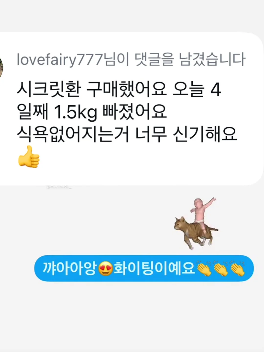 레이스 커튼 16