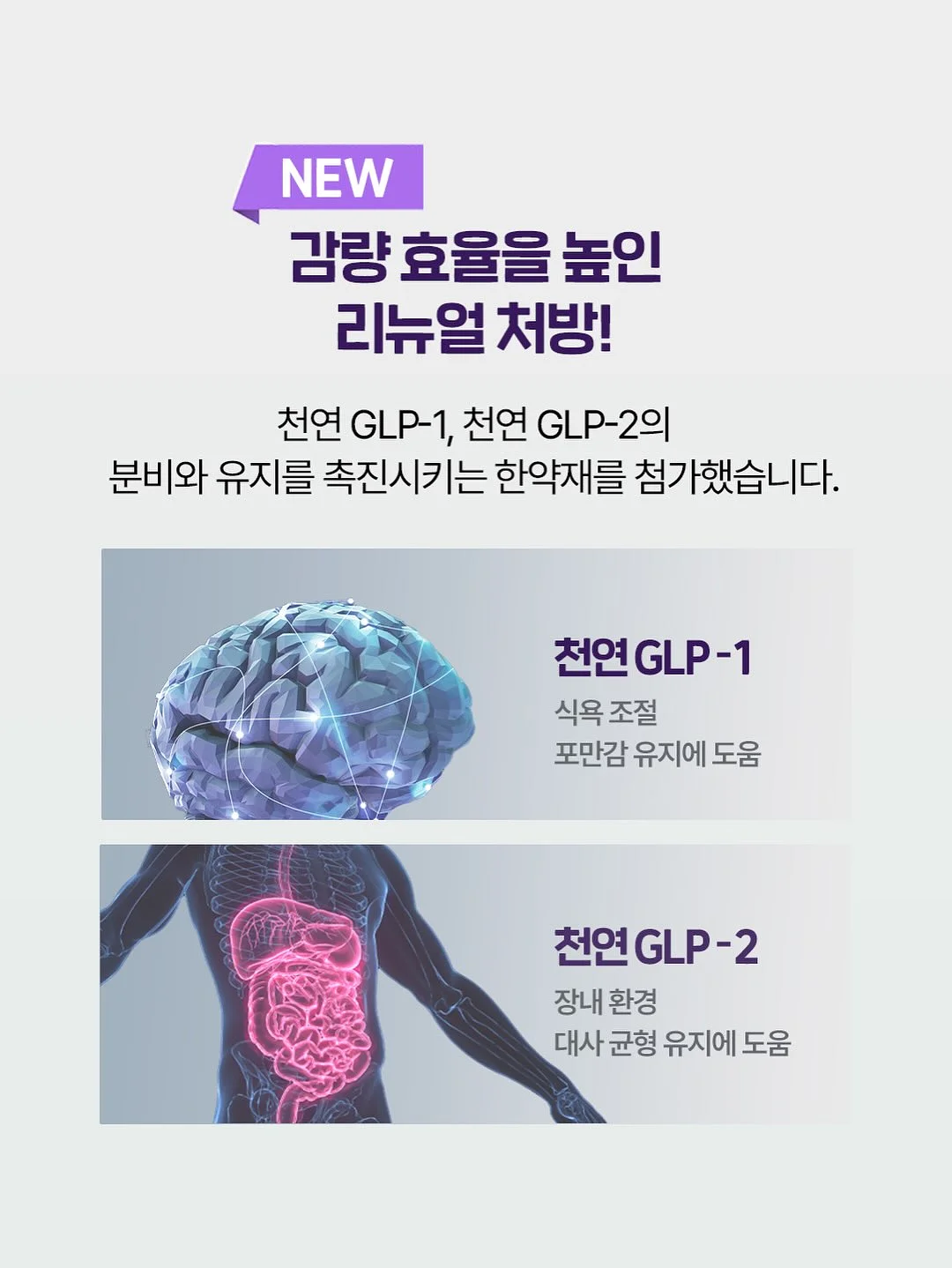레이스 커튼 18