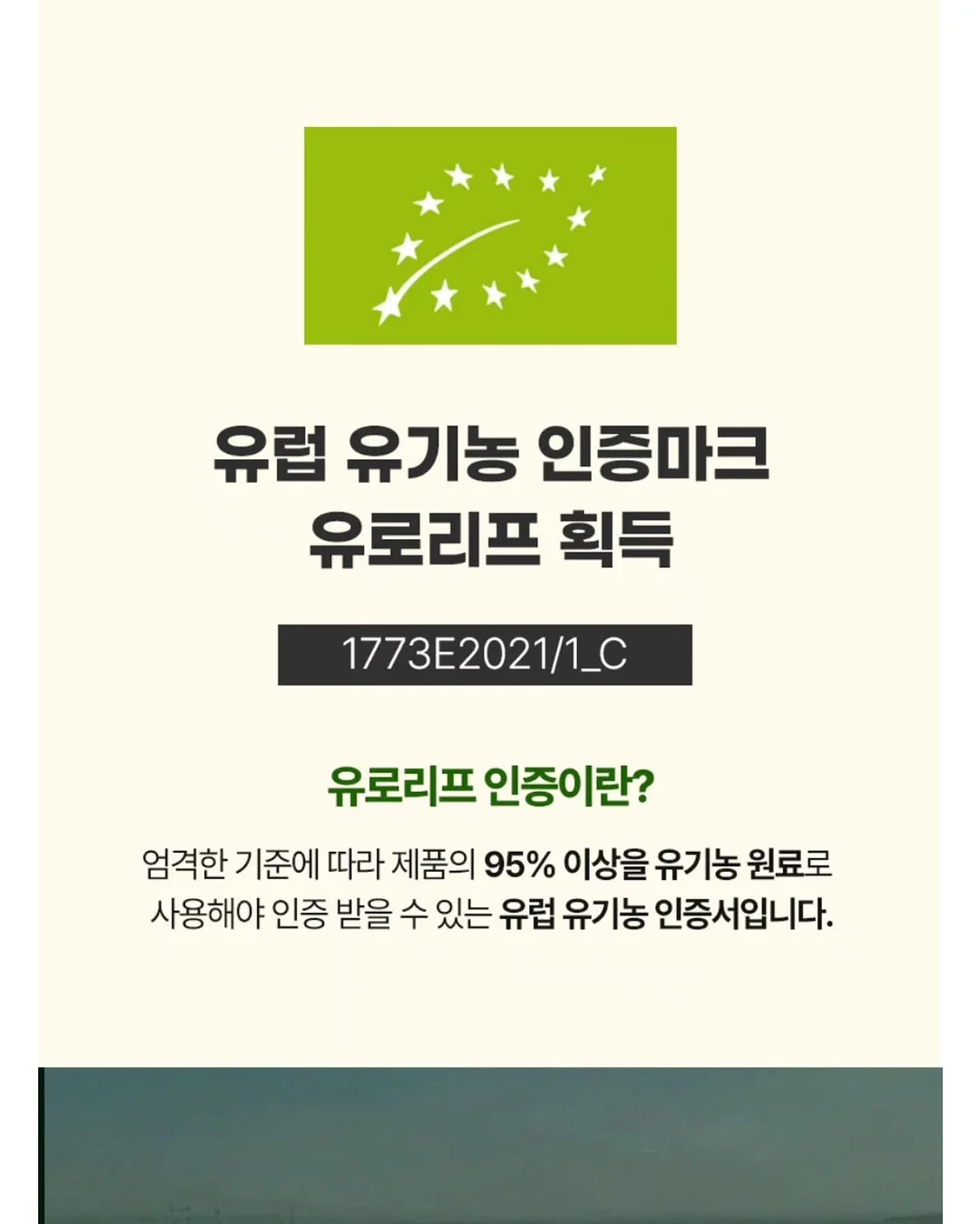 뉴발란스 러닝화 9