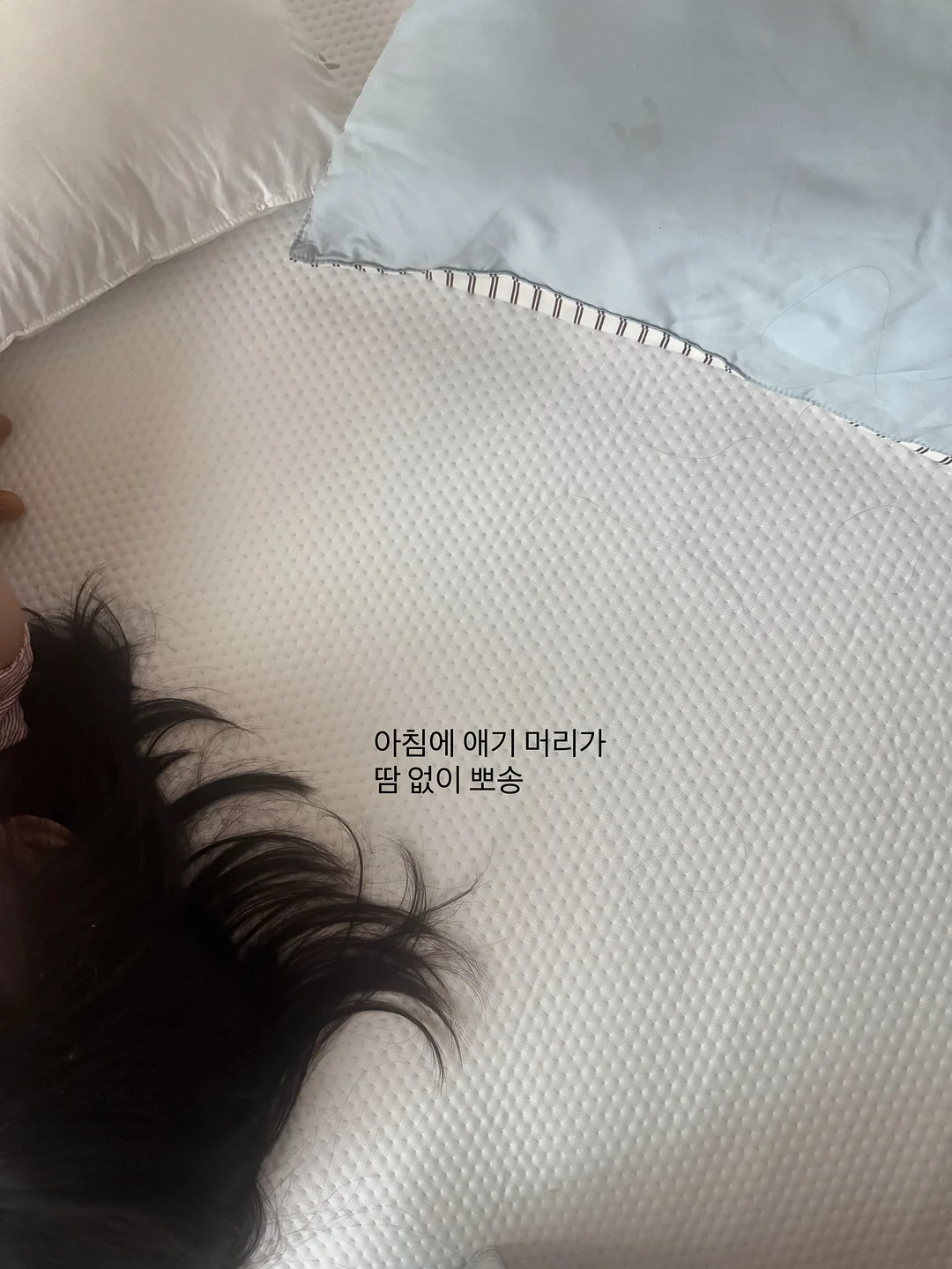 쫀냐미 시리즈 11
