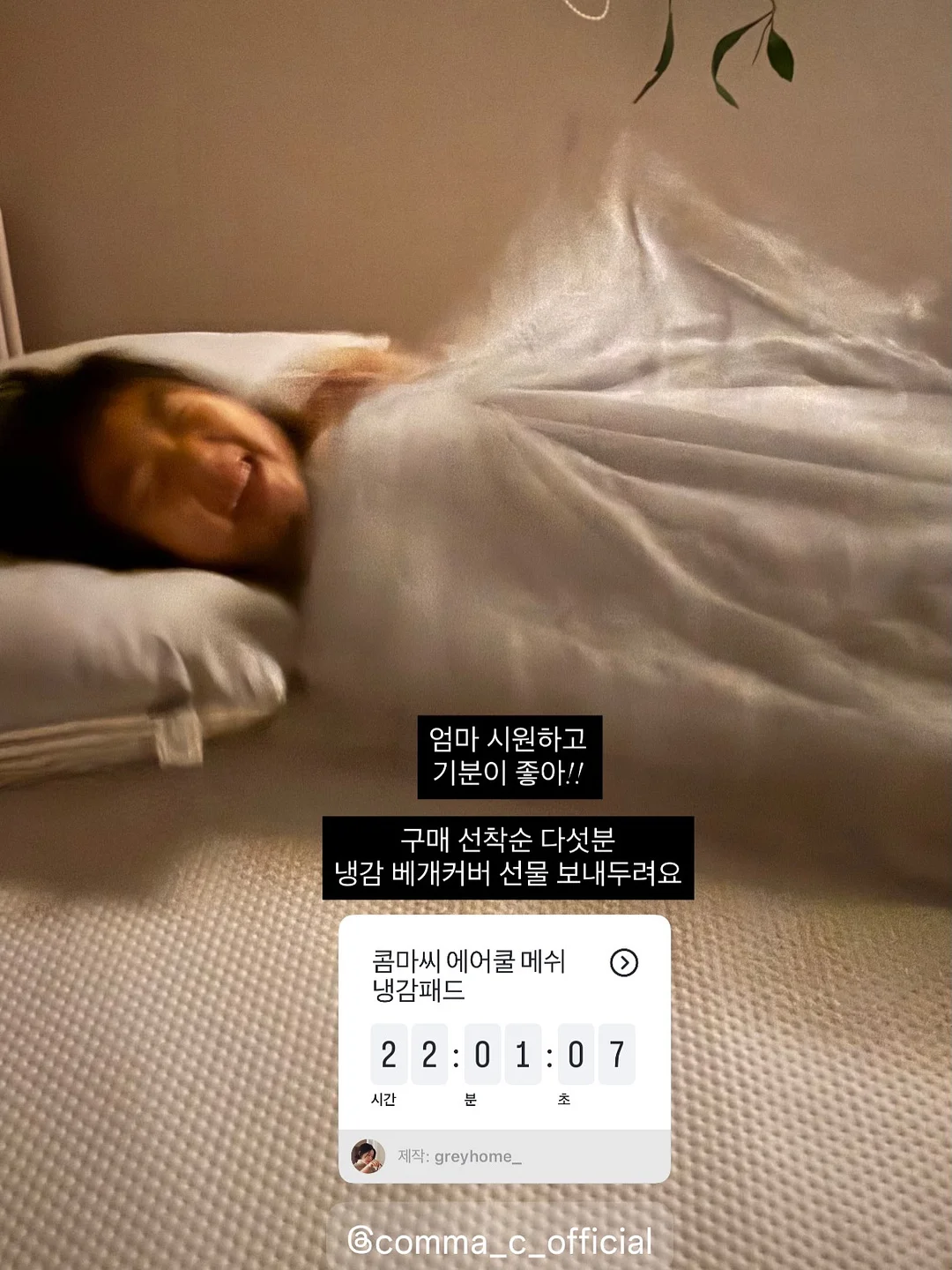 쫀냐미 시리즈 9