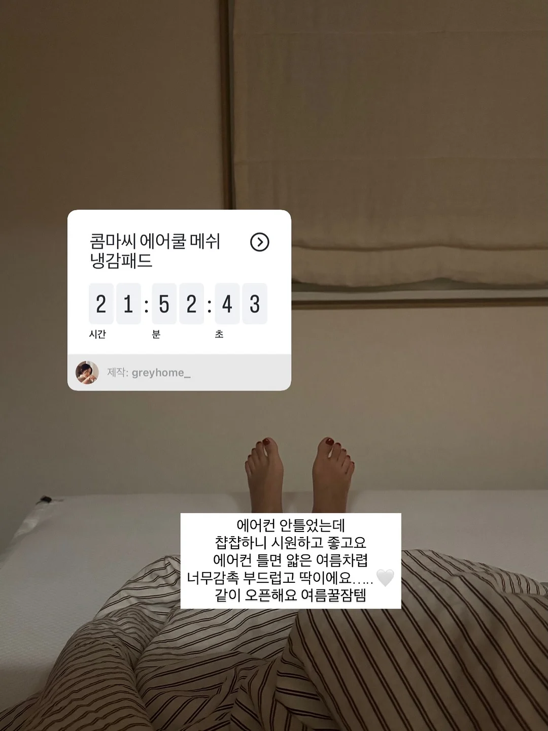 쫀냐미 시리즈 10