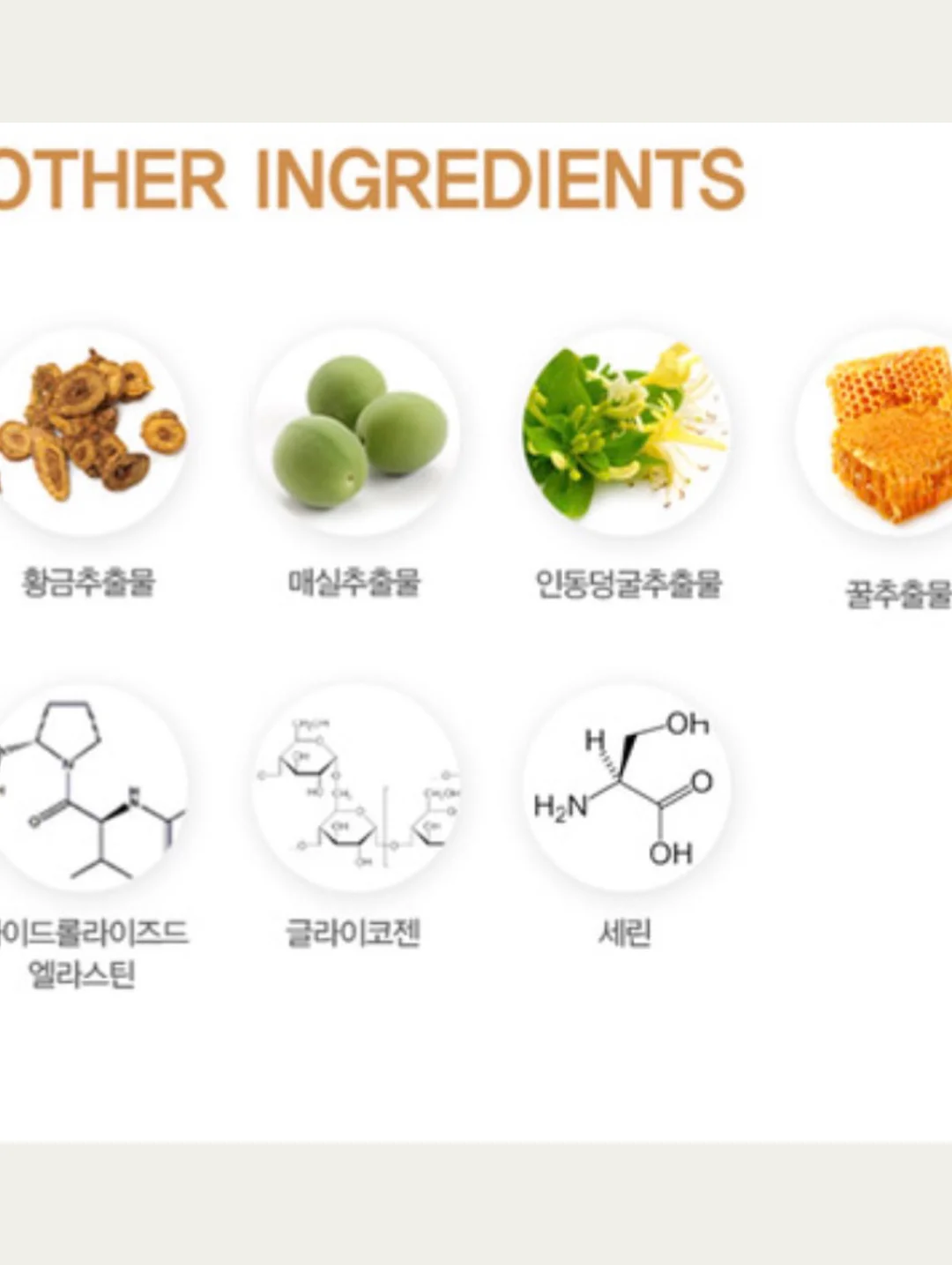 쿠팡 맛도리템 콩국수 13