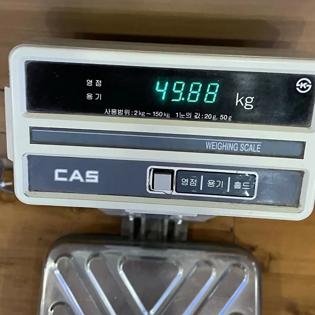 로엠 시스루 스커트