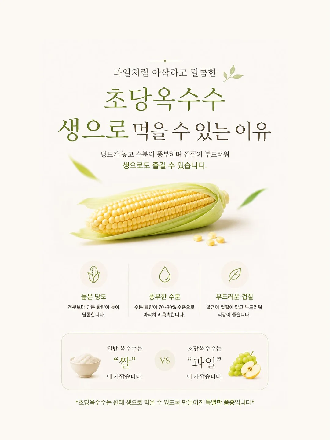 리바이스 엔지니어드 진 13