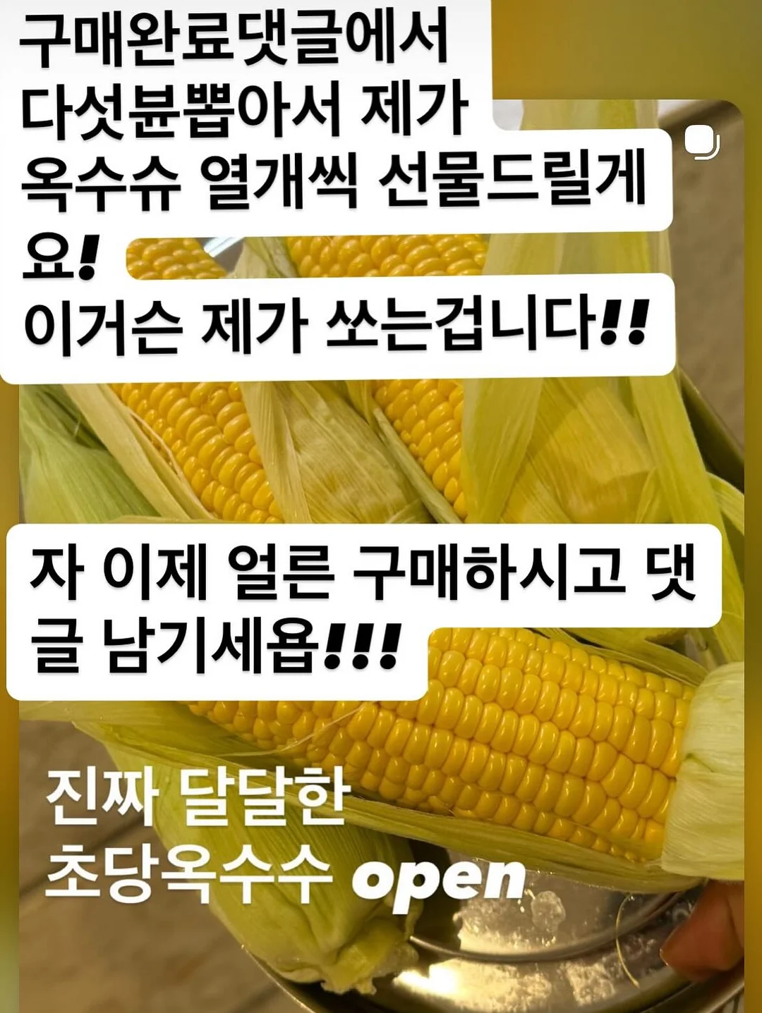 리바이스 엔지니어드 진 17