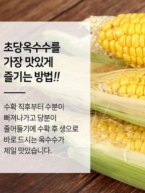 리바이스 엔지니어드 진 19