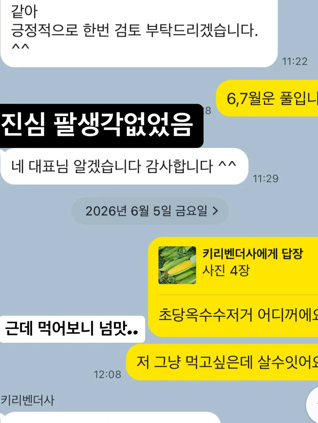 리바이스 엔지니어드 진 6