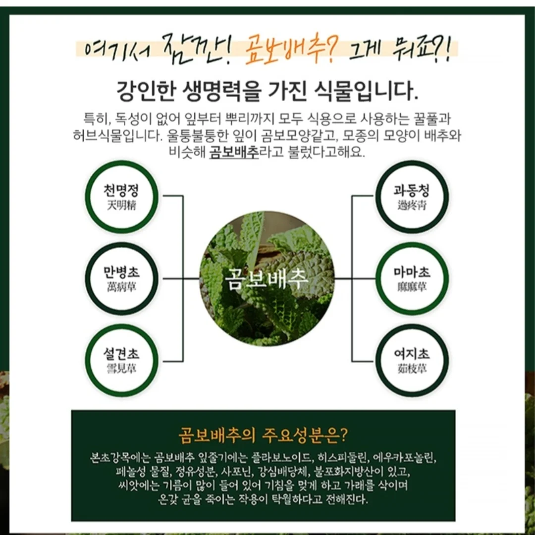 루리 스팀쿡 밀폐용기 2