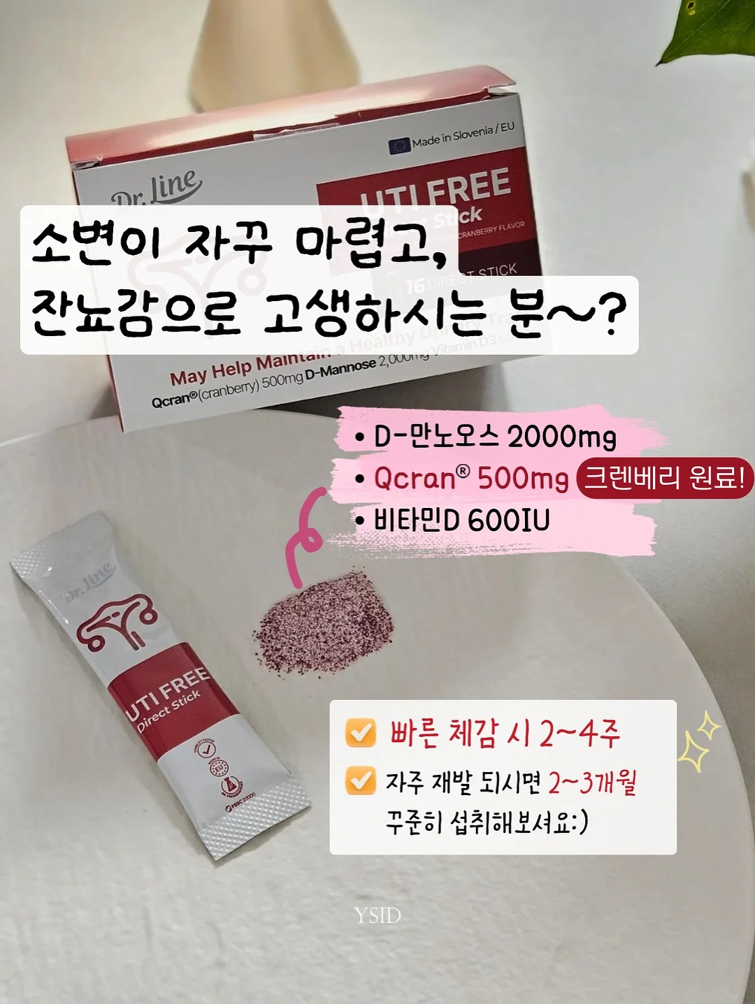 넛츠 프랄린 초콜릿 파운드케이크 3