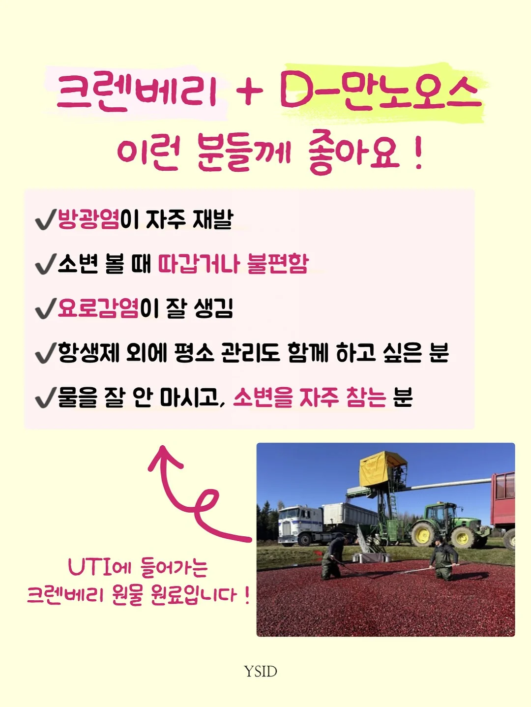 넛츠 프랄린 초콜릿 파운드케이크 5