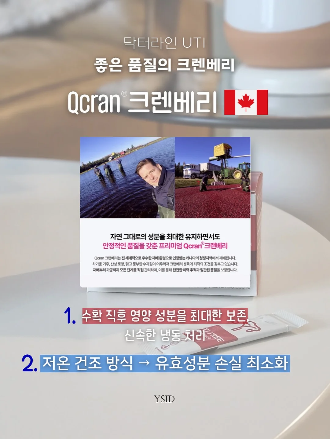 넛츠 프랄린 초콜릿 파운드케이크 7