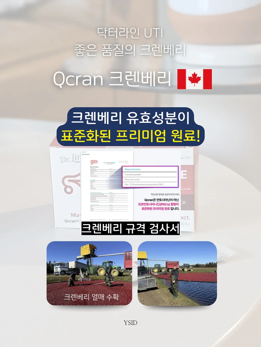 넛츠 프랄린 초콜릿 파운드케이크 8