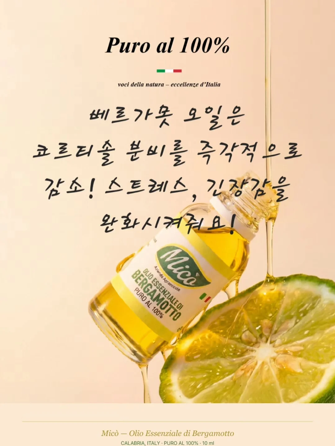 명품 신발 수선·세탁·밑창보강·복원 창업교육 12주 과정 11