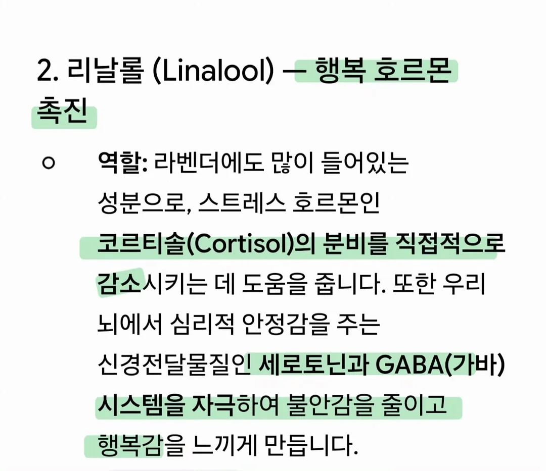 명품 신발 수선·세탁·밑창보강·복원 창업교육 12주 과정 15