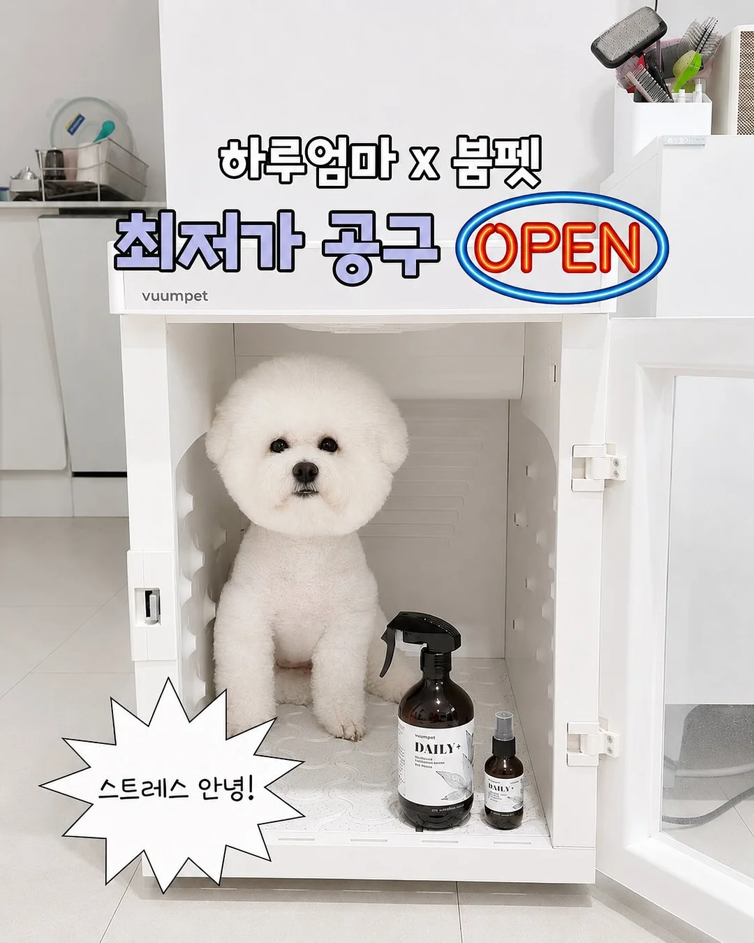 베타글루칸 엘더베리 초유 종합영양제 1