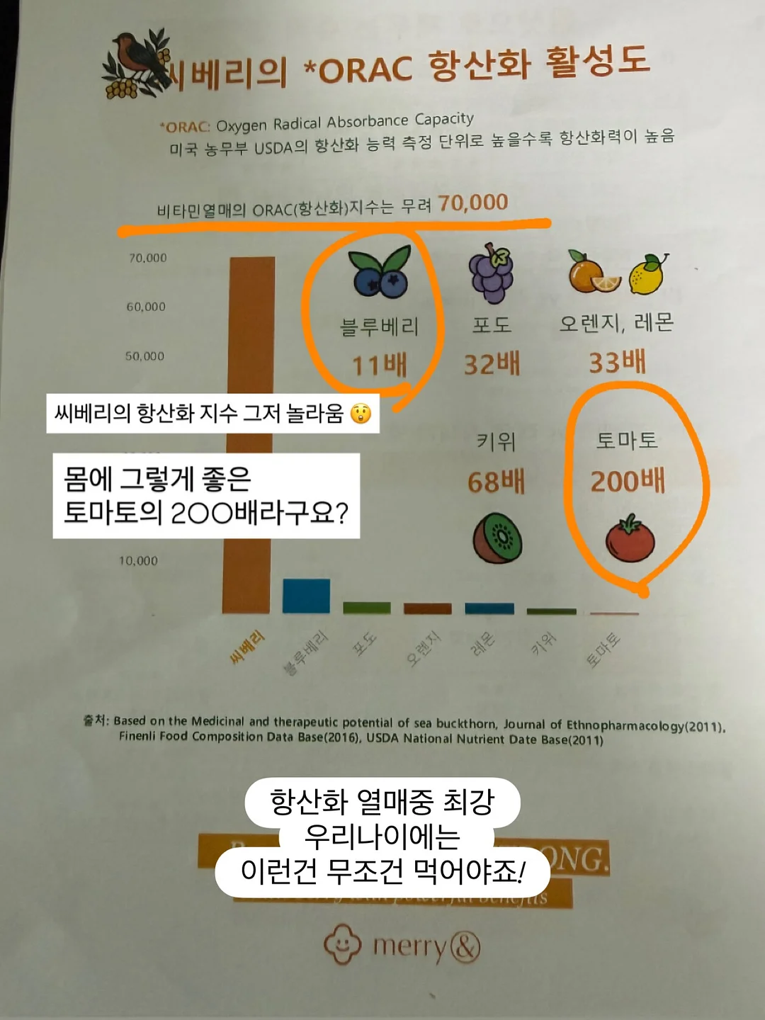분사형 밀대 8