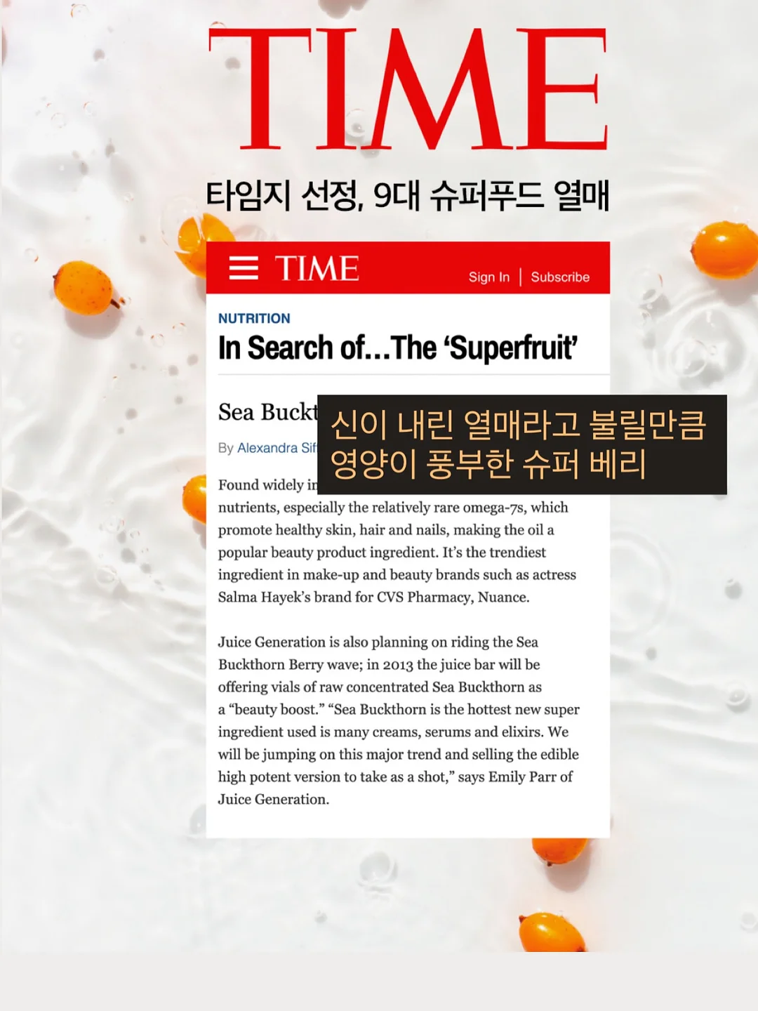 분사형 밀대 10