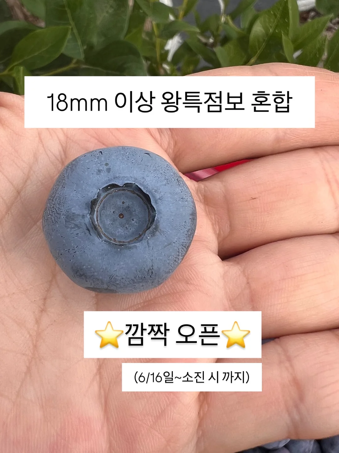 삼겹살 케이크 1