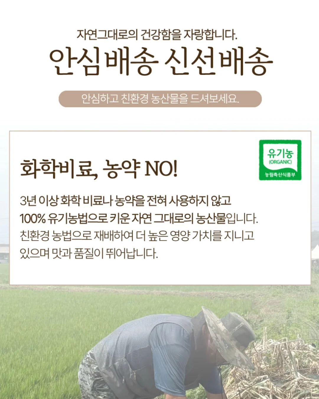EGP 포시즌스셔츠 New Navy 6