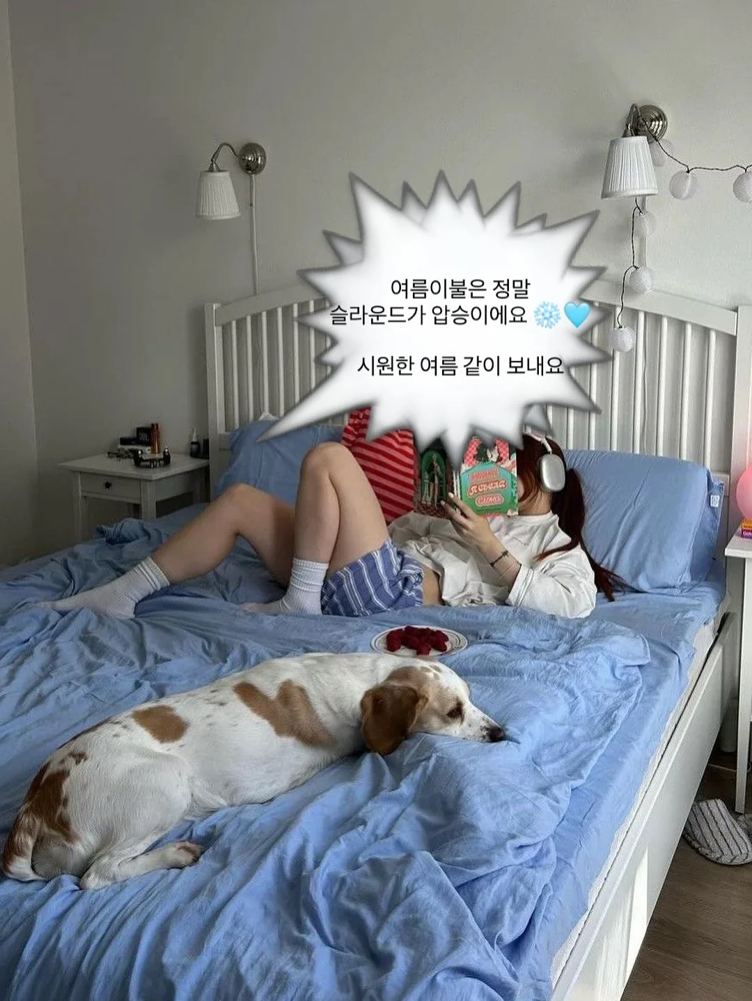 과일 생크림 케이크 18