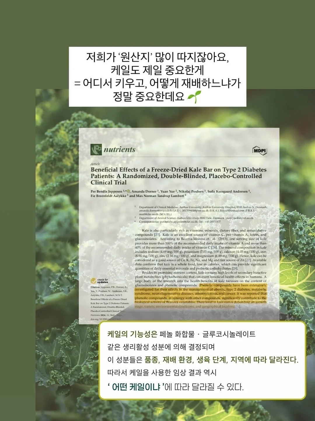 레포쎄 스틸레토 슈즈 4