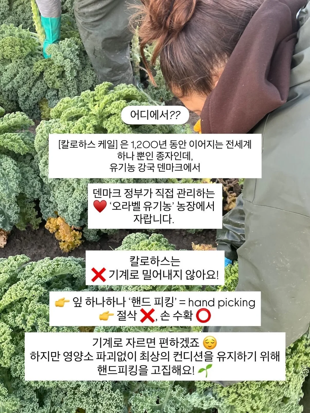 레포쎄 스틸레토 슈즈 5