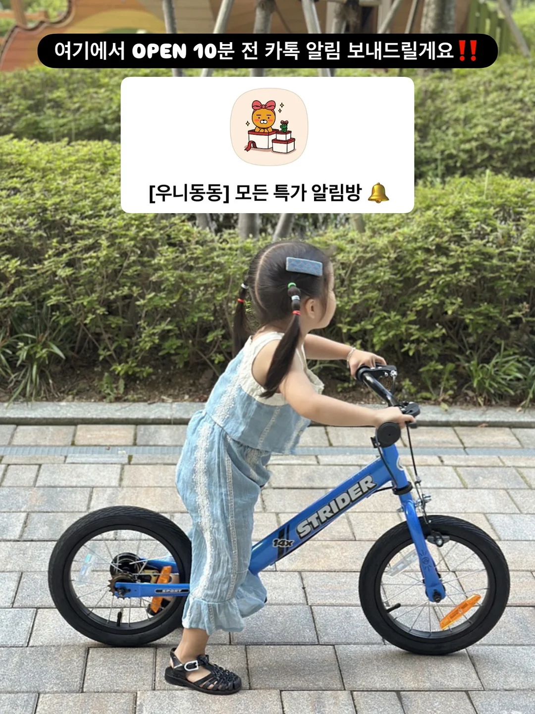 바이오컴 음식물 과민증 검사 3