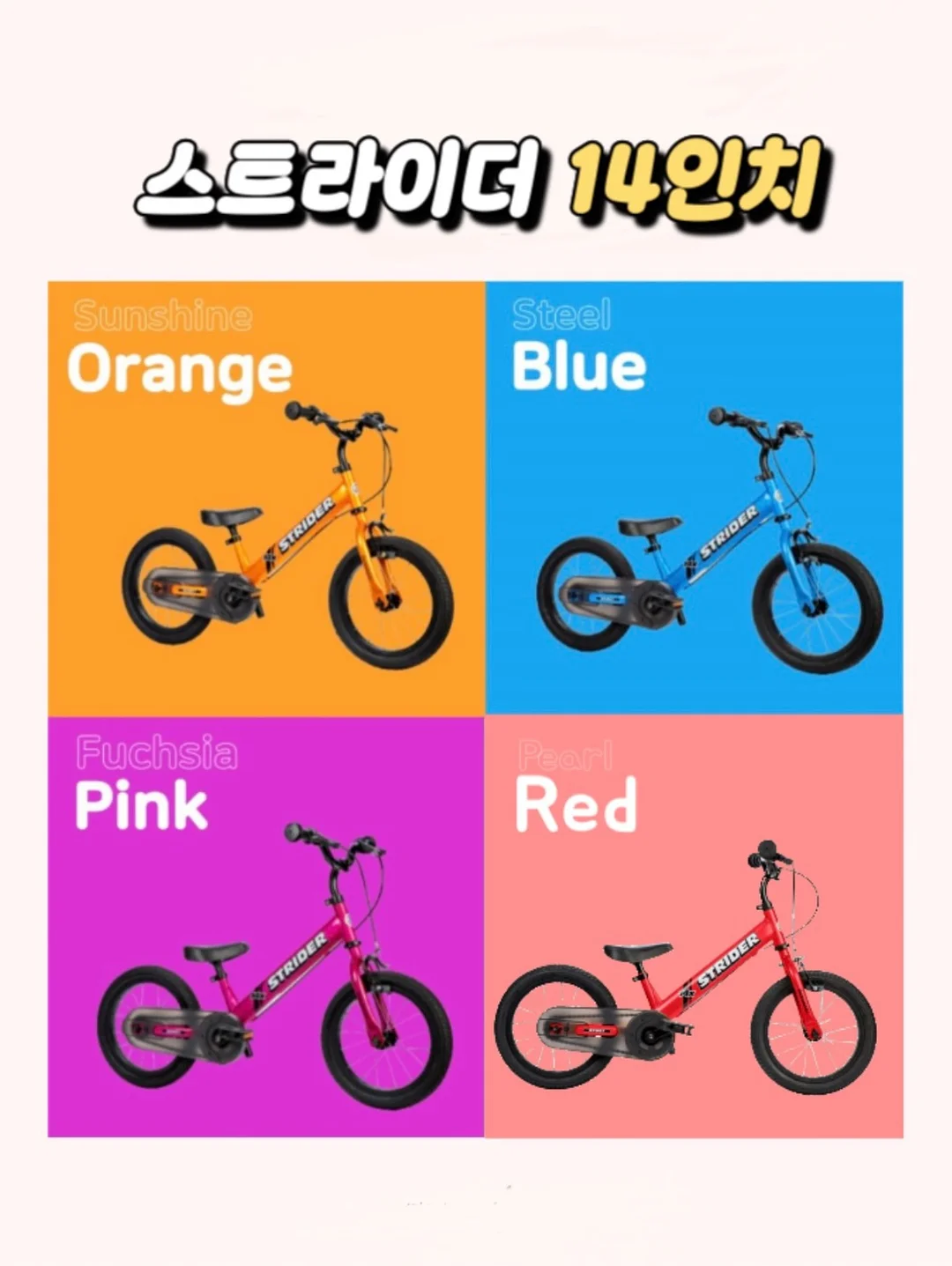 바이오컴 음식물 과민증 검사 10